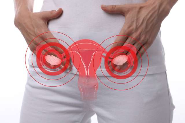 PCOS and Endometriosis 90-day Kit